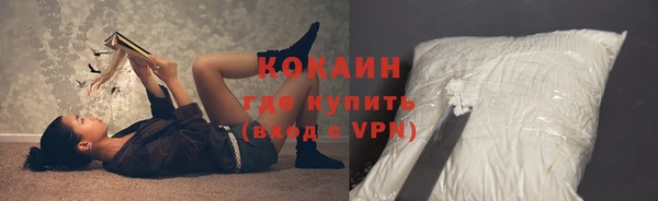 дмт Арсеньев