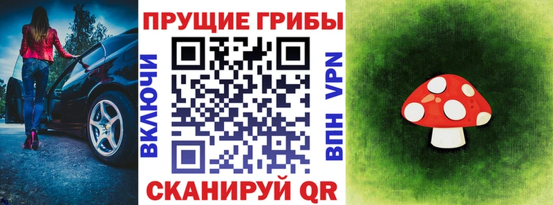 OMG зеркало  Лениногорск  Галлюциногенные грибы Magic Shrooms 